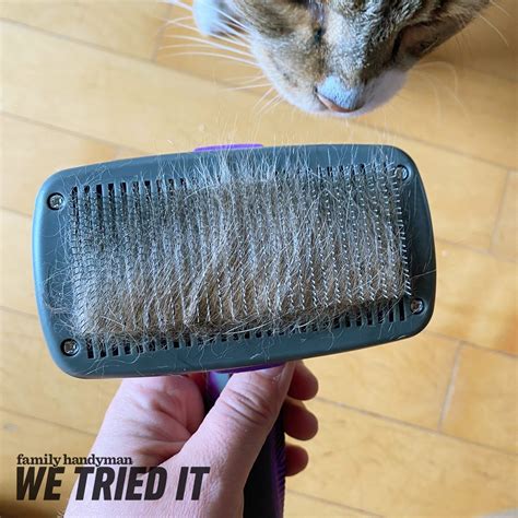 Hertzko Pet Brush Review: Best Cat Brush of 2024