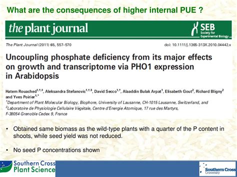 PPT Enhancing Internal Phosphorus Use Efficiency In Crops PowerPoint