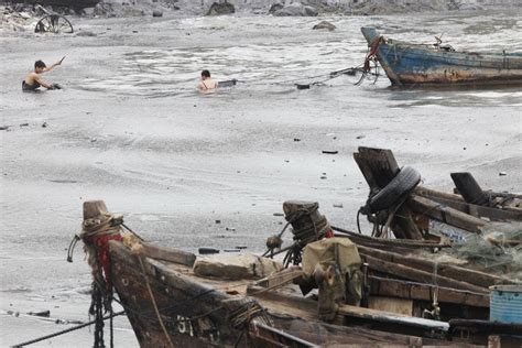 Peekture Rip Photographer Captures Death Of Chinas Dalian Oil Spill