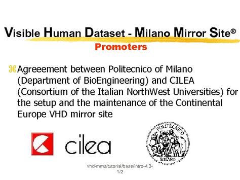 Visible Human Dataset Milano Mirror Site L