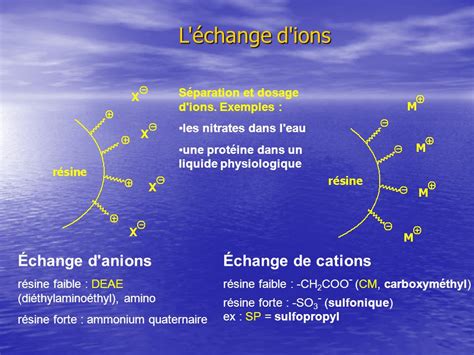 Chromatographie Changeuse D Ions Principe Pdf Pdf Cours Exercices Examens