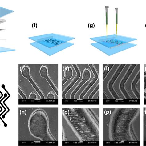 Microfluidic Patterning There Are Two Pmma Plates A E The