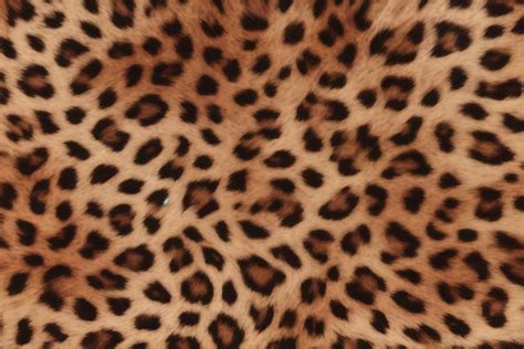 Leopard Skin Fur Texture Graphic by mimishop · Creative Fabrica