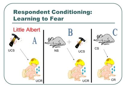 Module Applications Of Respondent Conditioning Principles Of