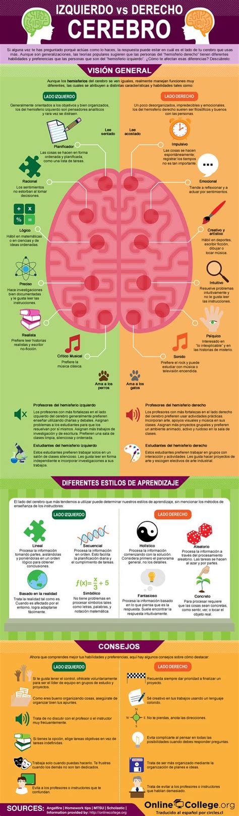 Psicologia Dcb Diferencias Entre El Hemisferio Izquierdo Y El Derecho