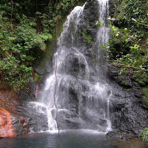 Waterfall Swimming