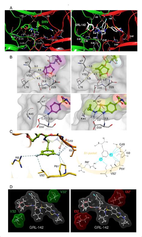 X Ray Crystal Structure Analysis Of Grl With Hiv Protease A