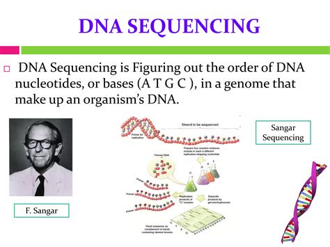 Next generation sequencing | PPT