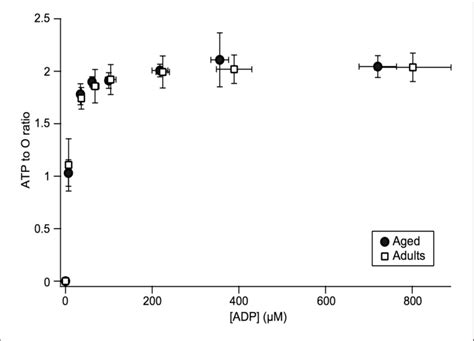 Changes In The ATP To O Ratio As A Function Of ADP Concentration And