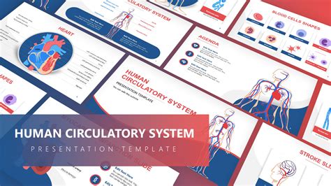 Cardiovascular Powerpoint Template Free