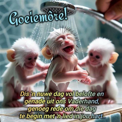 Pin By Kobus Du On Afrikaans In 2024 Good Morning Wishes Love Happy