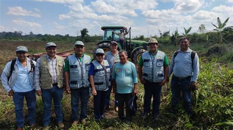 Actividad Permanente Desarrollo Agropecuario De La Provincia De