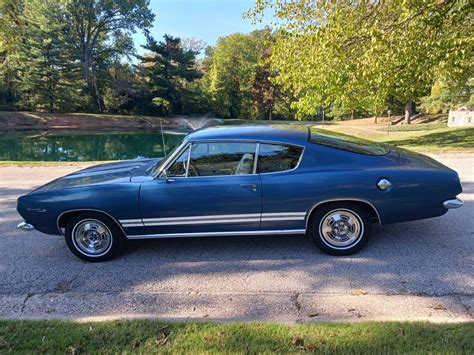 Barracuda Body Barn Finds