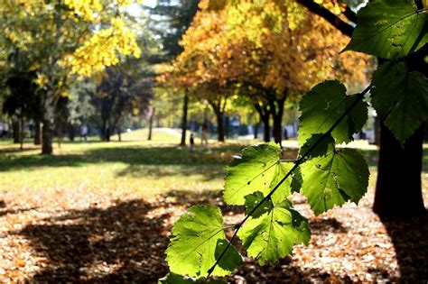 Danas sunčano i vrlo toplo za ovo doba godine BN