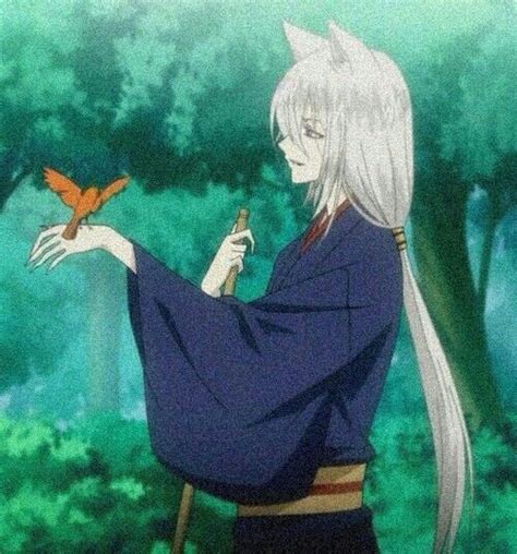 Tomoe Zorro Protector De Nanami Diosa De La Tierra Anime Amino