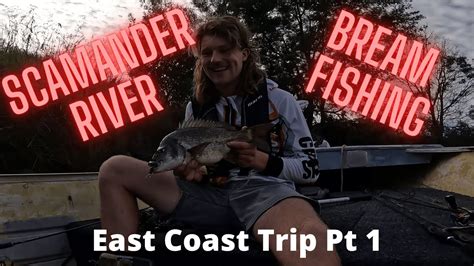 Scamander River Big Bream East Coast Trip Ep 1 Youtube