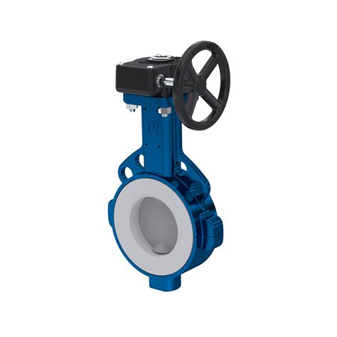 Butterfly Valve Ptfe Ak09 Dn50 Pn10 Pn16 Handwheel Gearbox Fkm Insert