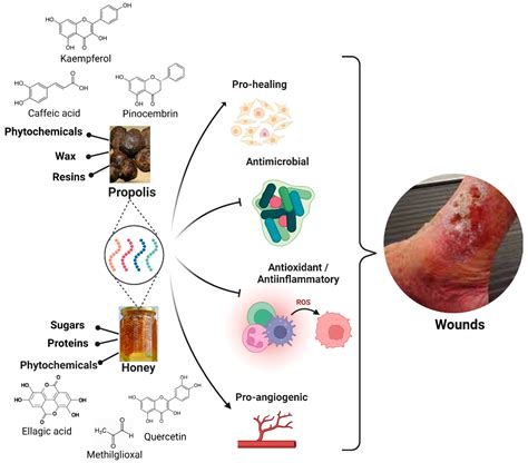 Nanomaterials Free Full Text Nanomaterials Based On Honey And