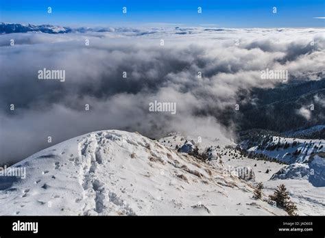 Winter Mountain Landscape Location Piatra Craiului Mountains Romania