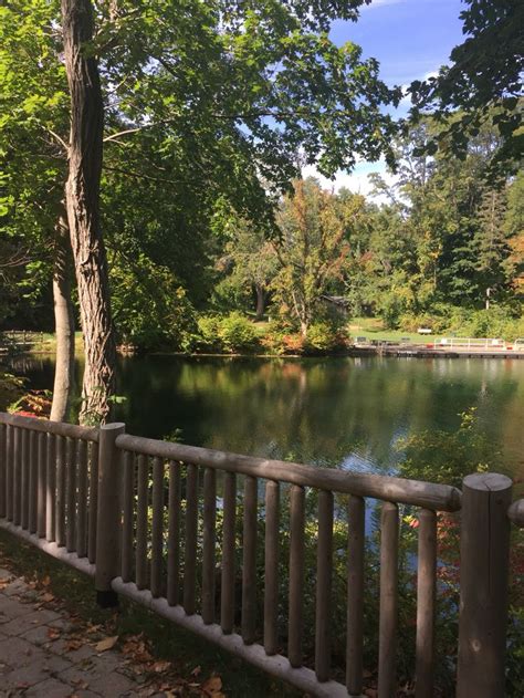 Taconic State Park Camping Ground Camping Park State Park Camping