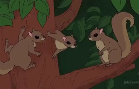 Do Not Fuck With Squirrels Adult Swim IFunny
