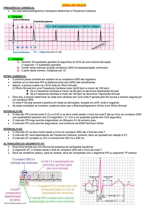 Clinica Como Ler Um Ecg Como Ler Um Ecg FrequÊncia CardÍaca • Em