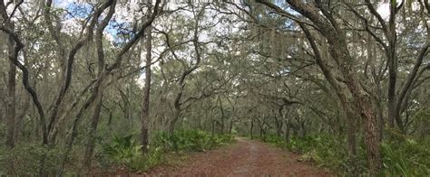 Rock Springs Run State Reserve | Florida State Parks