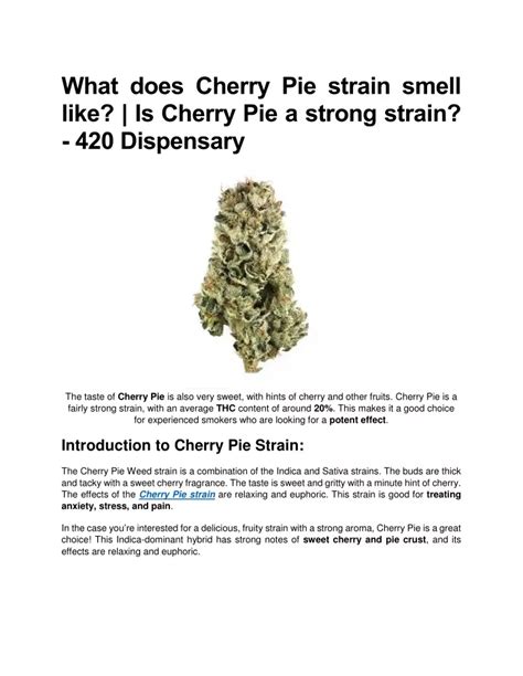 Ppt Cherry Pie Strain Info And Effects 420 Dispensary Powerpoint Presentation Id 11637490