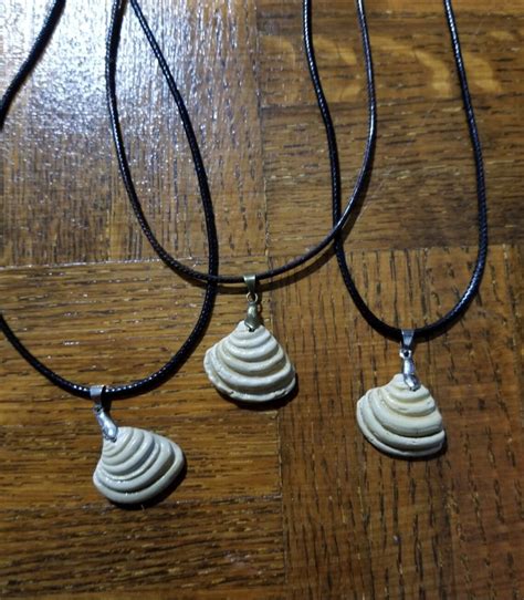 Pawleys Island Imperial Venus Shell Necklace Etsy