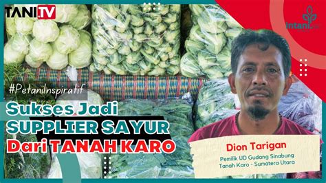 Supplier Sayur Sukses Asal TANAH KARO YouTube