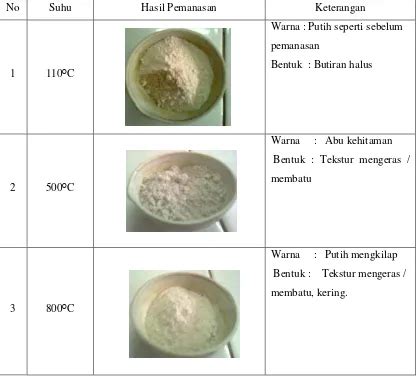 Pemanfaatan Limbah Cangkang Kerang Bulu Sebagai Adsorben Untuk Menjerap