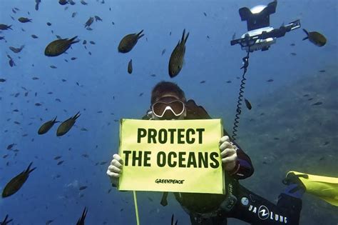 Reservas Marinas Islas De Vida En Océanos Amenazados Es Greenpeace