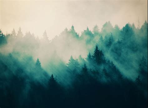 Foggy Forest Painting at PaintingValley.com | Explore collection of ...