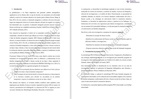 Ejemplos de trabajos académicos con Experto Universitario