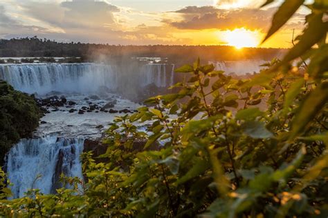 Tripadvisor Itaipu Dam Bird Park Iguassu Falls Brasilianische