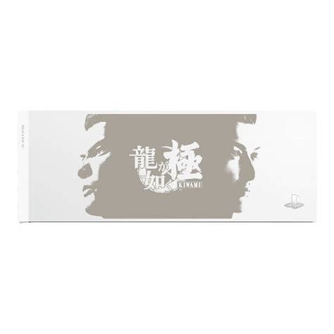 Faceplate Hdd Bay Cover Ps4 Glacier White Ryu Ga Gotoku Kiwami Ps4