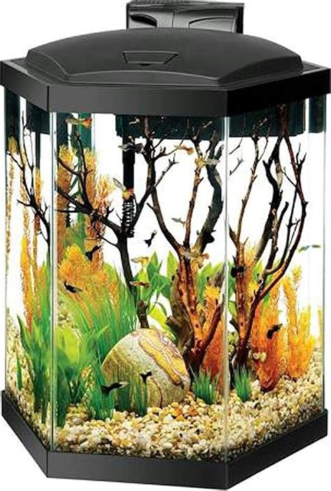 Aqueon® 20 Gallon Hex Aquarium Starter Kit Amazonca Pet Supplies