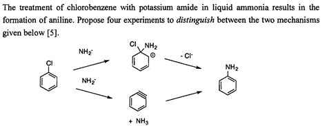 Solved The Treatment Of Chlorobenzene With Potassium Amide Chegg