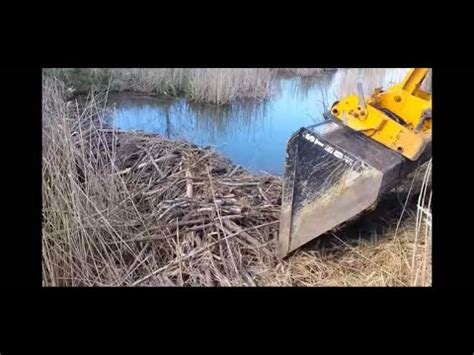 BEAVER DAM REMOVAL - YouTube