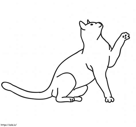 Normal Cat Coloring Page