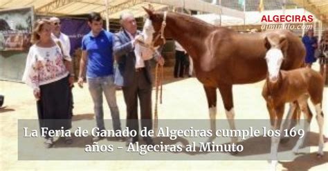 La Feria De Ganado De Algeciras Cumple Los A Os Algeciras Al Minuto