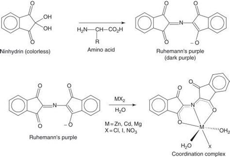 Ninhydrin ~ Everything You Need to Know with Photos | Videos