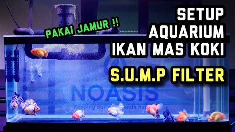 Setup Aquarium Ikan Hias Mas Koki Dengan Sump Filter Youtube