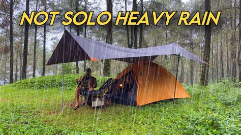 Not Solo Camping In Heavy Rain In The Pine Forest Perfect Tent In