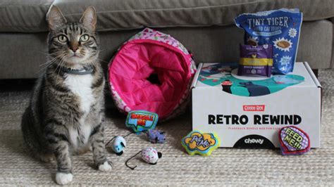 Chewy Cat Goody Box review: It's purr-fect - Reviewed