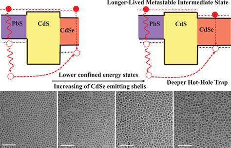 Schematic Illustration Of Band Alignment Of PbS CdSCdSe ZnS QDs Top