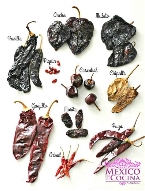 Tipos De Chiles Secos Carácteristicas Y Usos En La Cocina Mexicana