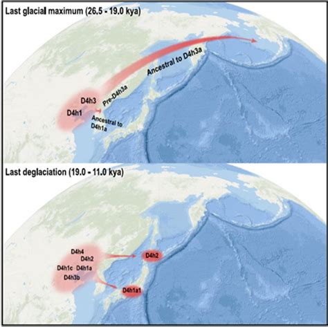 El Adn Revela Las Migraciones Humanas En La Edad De Hielo Desde China