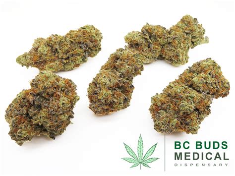 Buy Tangerine Dream Weed Online Bc Buds Medical Dispensary