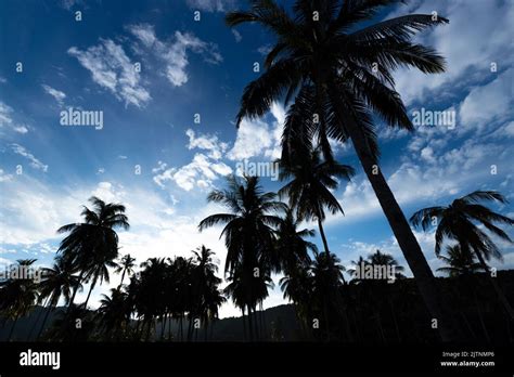 Redang Beach Terengganu Malaysia Stock Photo Alamy